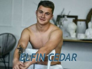 ELFIN_CEDAR