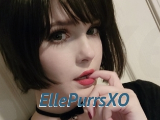 EllePurrsXO