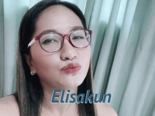 Elisakun