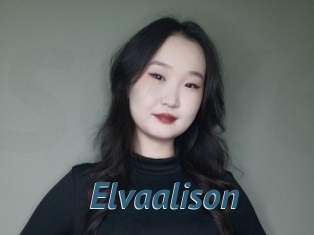 Elvaalison