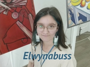 Elwynabuss