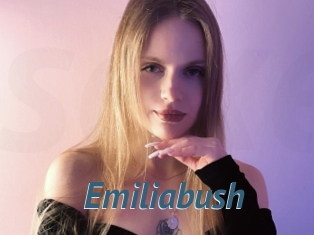 Emiliabush