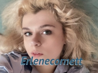 Erlenecornett