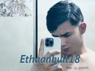 Ethaanbull18