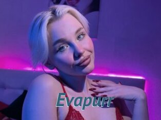 Evapurr
