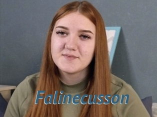 Falinecusson