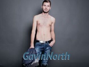 GavinNorth