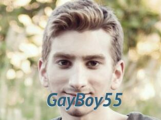 GayBoy55