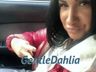 GentleDahlia