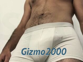 Gizmo2000