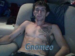 Gnomeo