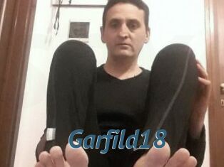 Garfild18