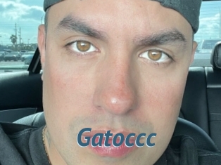 Gatoccc