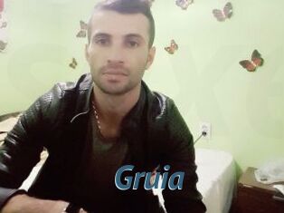 Gruia