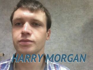 HARRY_MORGAN