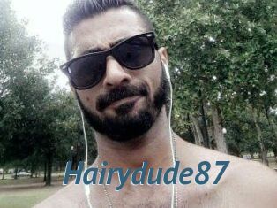 Hairydude87