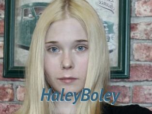 HaleyBoley