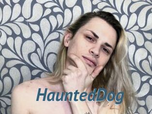 HauntedDog