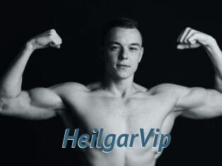 HeilgarVip