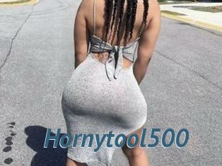 Hornytool500