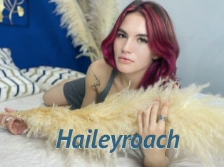 Haileyroach