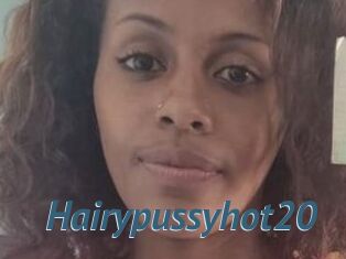 Hairypussyhot20