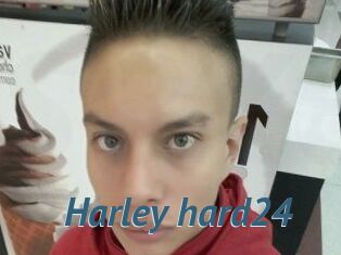 Harley_hard24