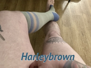 Harleybrown