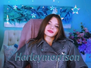 Harleymorrison