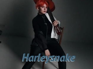 Harleysnake