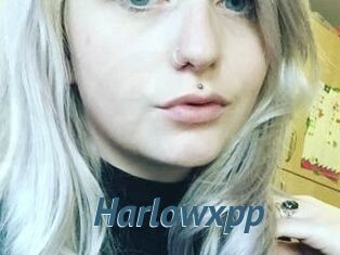 Harlowxpp