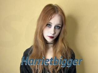 Harrietbigger