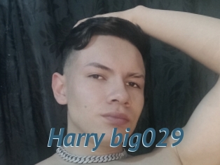 Harry_big029