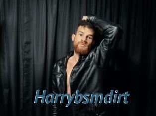 Harrybsmdirt