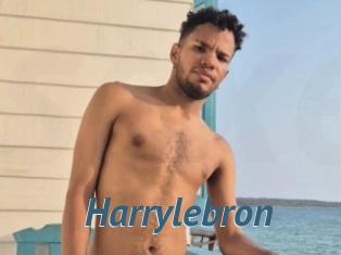 Harrylebron