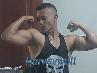 Harveywull