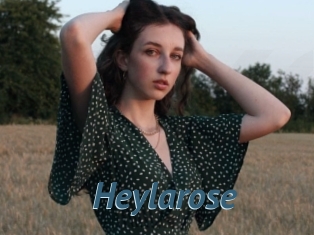 Heylarose