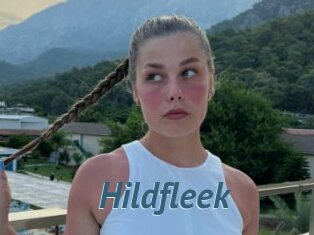 Hildfleek