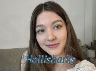 Hollisbarks