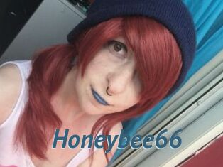 Honeybee66