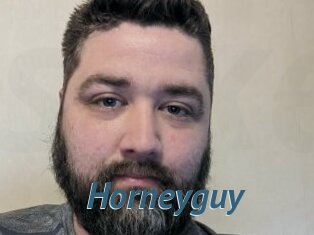 Horneyguy