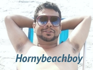 Hornybeachboy