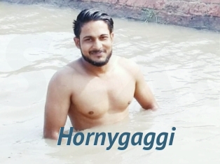 Hornygaggi