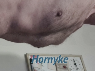 Hornyke