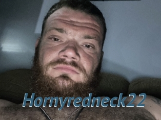 Hornyredneck22