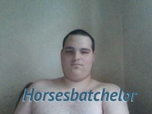 Horsesbatchelor