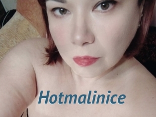 Hotmalinice