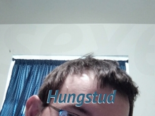 Hungstud