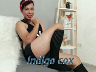 Indigo_cox