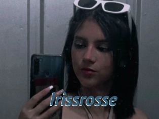 Irissrosse